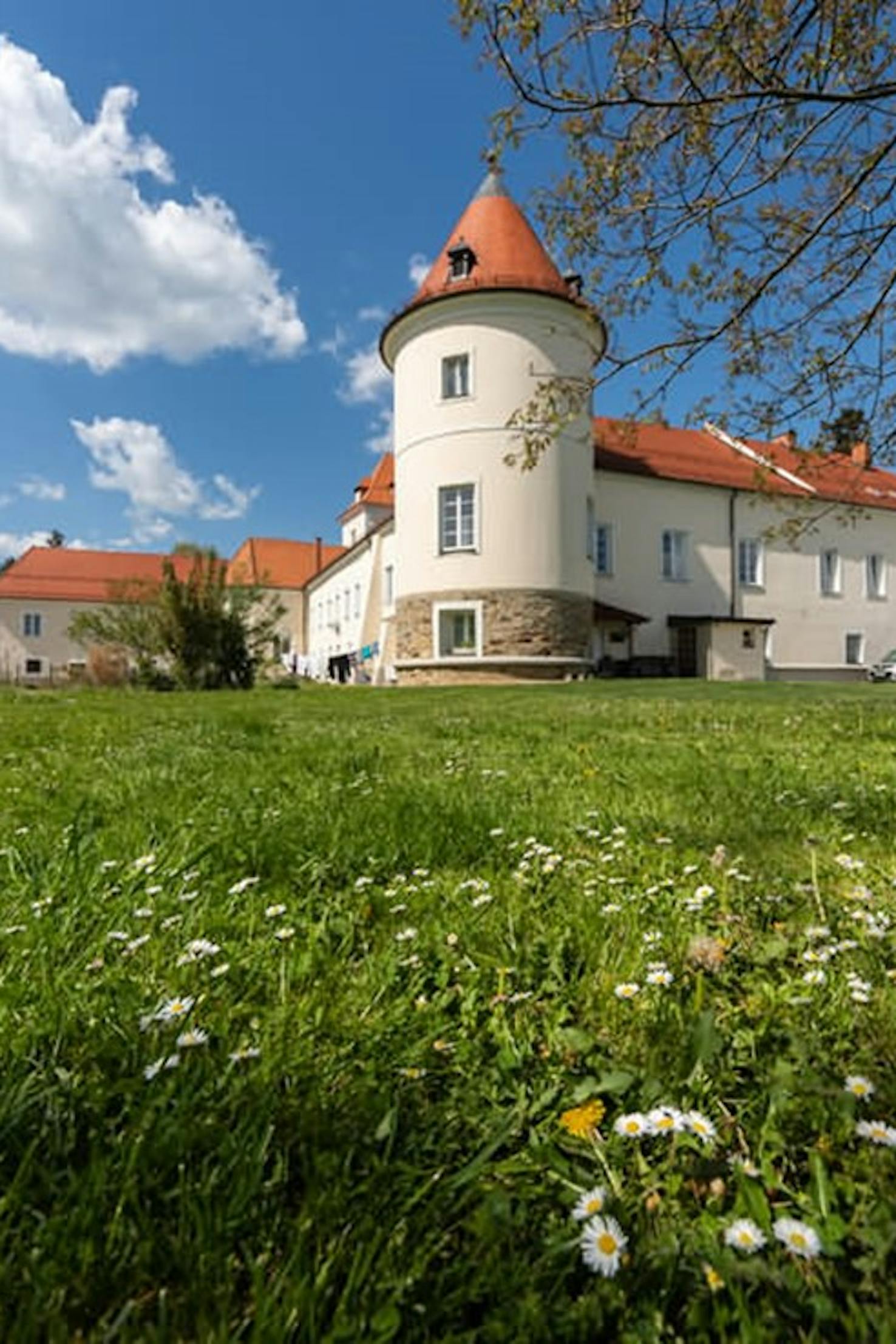 ravno polje